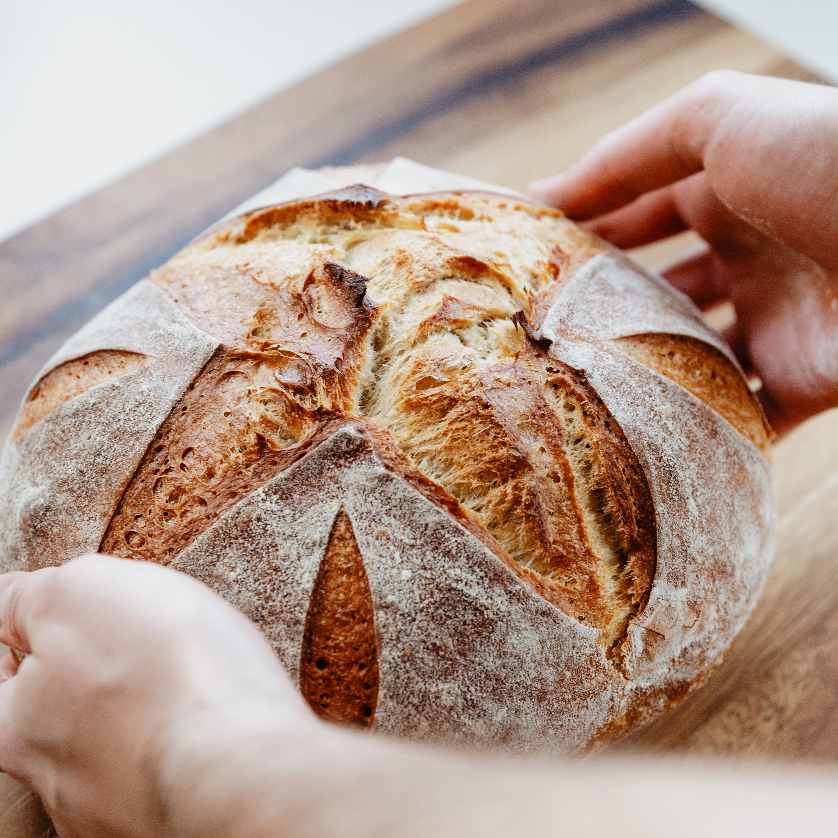 sourdough, hand made, kitchen 